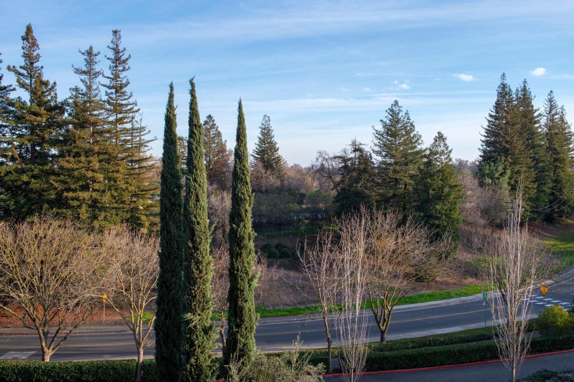 The Westin Riverfront & 4* Sacramento